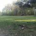 Футбольное поле в городе Москва