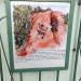 Дом Евфросинии Керсновской в городе Ессентуки