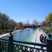 Клумба с белым клевером (ru) в місті Харків