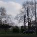 Max-Dietlein-Park (de) in Cologne city