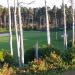 Florence Golf Links