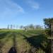 Hoogstamboomgaard