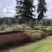 Glendale Country Club in Bellevue, Washington city