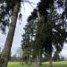 Glendale Country Club in Bellevue, Washington city