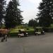 Tam O'Shanter Golf & Country Club in Bellevue, Washington city