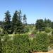 Tam O'Shanter Golf & Country Club in Bellevue, Washington city