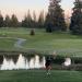 Walter Hall Golf Course in Everett, Washington city