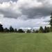 Walter Hall Golf Course in Everett, Washington city
