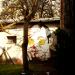 Murale in Łódź city