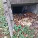 Немецкое нетиповое бомбоубежище в городе Калининград