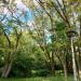 Dziki park (pl) в городе Франкфурт-на-Одере