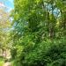 Dziki park (pl) в городе Франкфурт-на-Одере