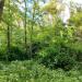 Dziki park (pl) в городе Франкфурт-на-Одере