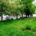 Parking in Łódź city