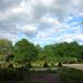 Park (pl) в городе Франкфурт-на-Одере