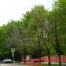 Petrovsky Park in Moscow city