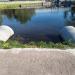 Водопропускная труба в городе Гатчина
