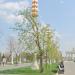 Каштановая роща в городе Москва
