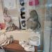 Tamaris Store Gent (nl) in Ghent city