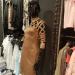Zeli Shoes & Bags (nl) in Ghent city