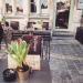 Café De Croone (nl) in Ghent city