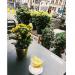 Café De Croone (nl) in Ghent city