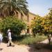 Beit al Hikma (de) in Baghdad City city