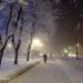 Аллея в городе Череповец