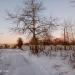Гаражи в городе Череповец