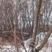 Руины в городе Череповец