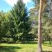 Park i polana in Giżycko city
