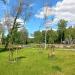 Park Miejski in Giżycko city