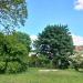 Park in Giżycko city