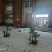 Магазин цветов «Декор» в городе Череповец
