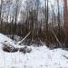 Холм в городе Череповец