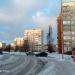 Береза в городе Череповец