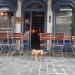 Gitane (nl) in Ghent city