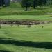 Tiffany Greens Golf Club (en) en la ciudad de Kansas City, Missouri
