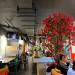 The Waffle Factory (nl) in Ghent city