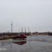Заросли в городе Череповец