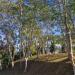 Parque do Mirante da Colina