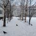 Аллея в городе Череповец