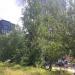 Заросли борщевика Сосновского (ru) in Moscow city