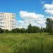 Луг в городе Одинцово