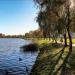 Pond