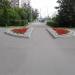 Цветник в городе Москва