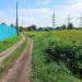 СНТ «Здоровье Красфарма» в городе Красноярск