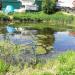 Пруд в городе Яхрома