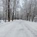 Парк Северного микрорайона