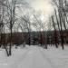 Парковая ул., 8а в городе Череповец